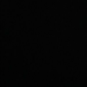 Meet your Posher, Ileana